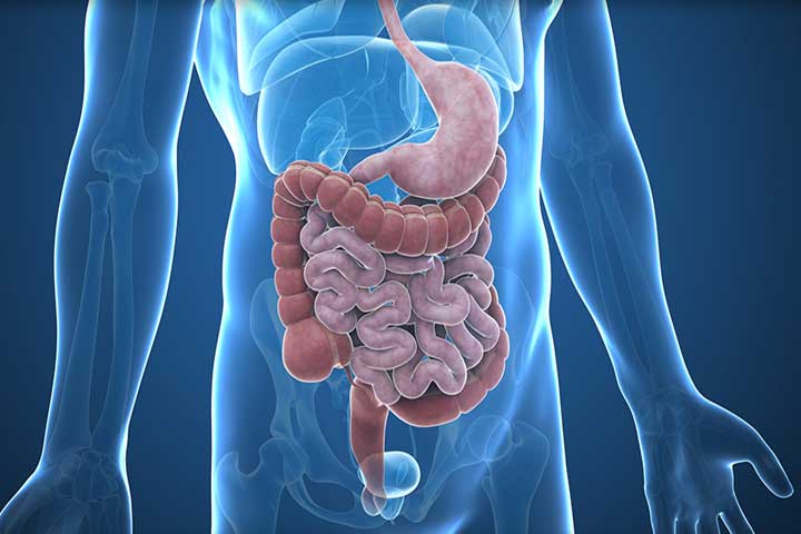 DR. ARMANDO MELERO VELA - Gastroenterólogo