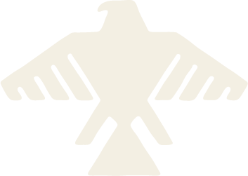 Stylized pale eagle emblem with outstretched wings on a white background