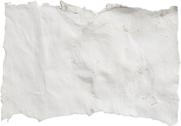 Blank white crumpled paper texture on a plain background