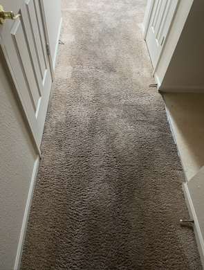 A room with a lot of furniture and a carpeted floor.