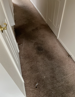 A room with a carpeted floor and a red cart.