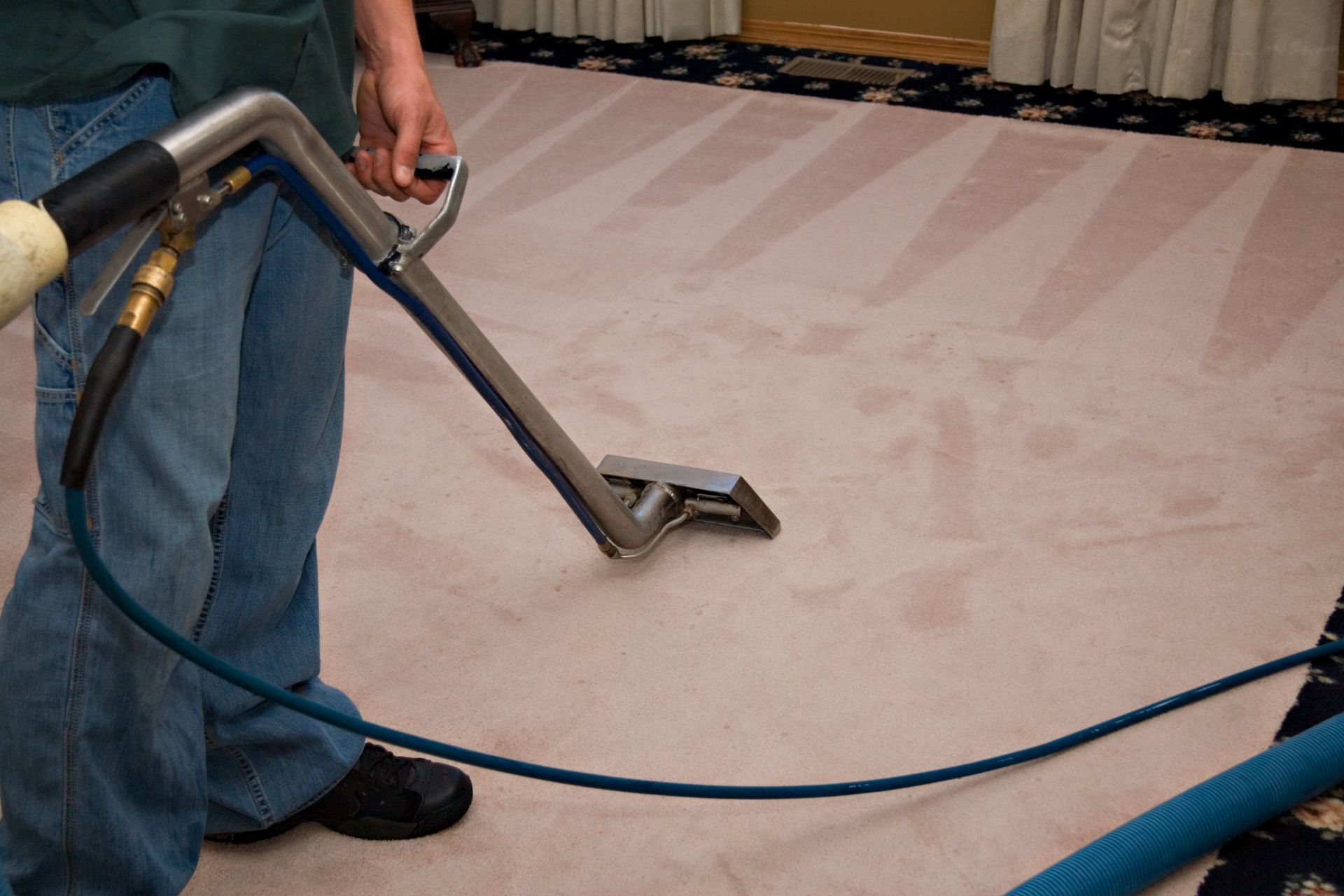 Steam carpet cleaning process, highlighting thorough cleansing and removal of dirt and stains.