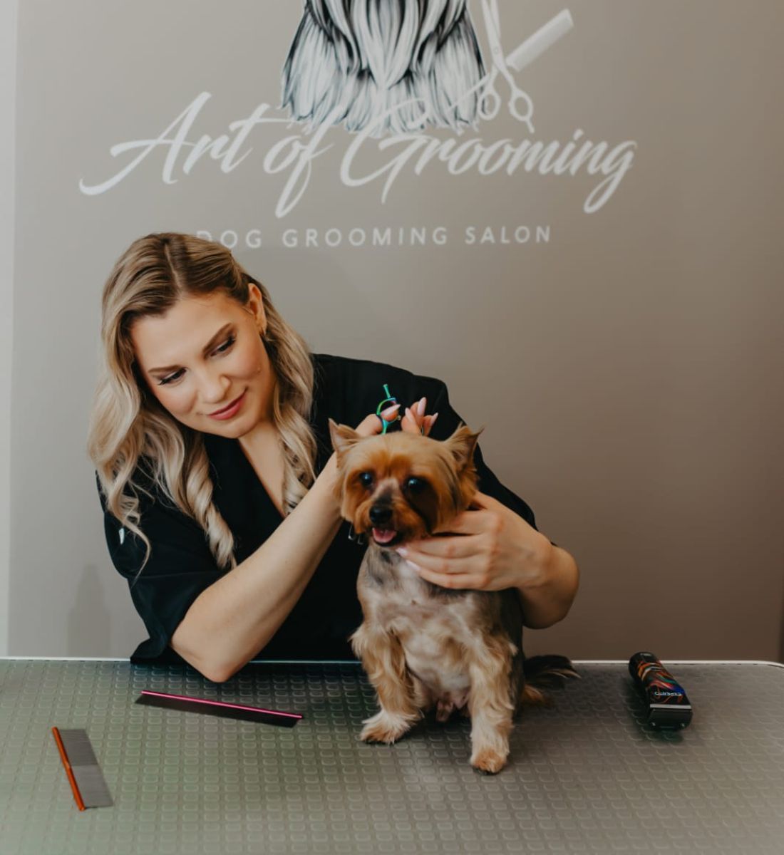 Art of Grooming - Suņu frizētava Imantā