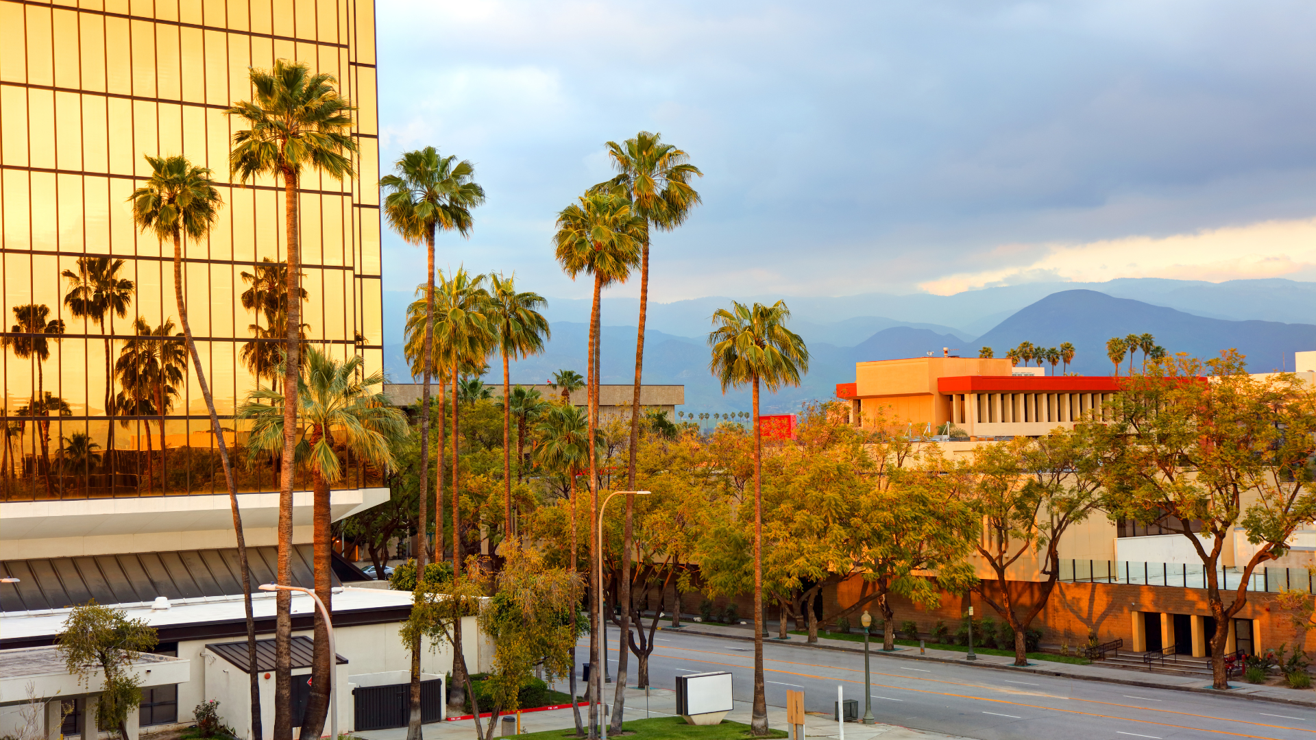 A city street with palm trees and buildings in the background