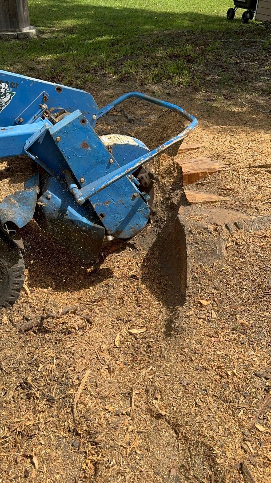 Blue wood chipper spreading wood chips onto a driveway near grass and trees.