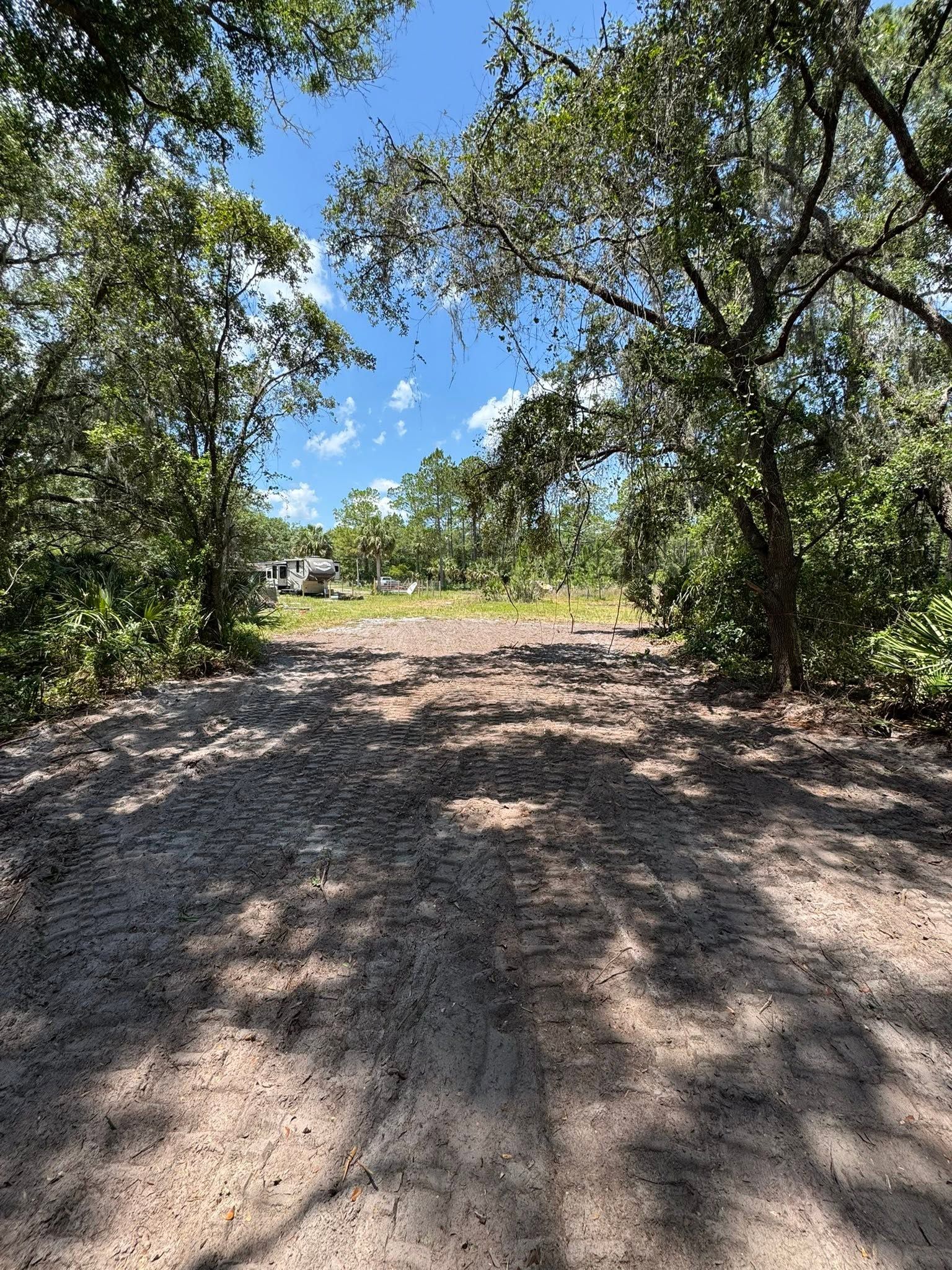 Sunny dirt path through a wooded area with trees and blue sky overhead