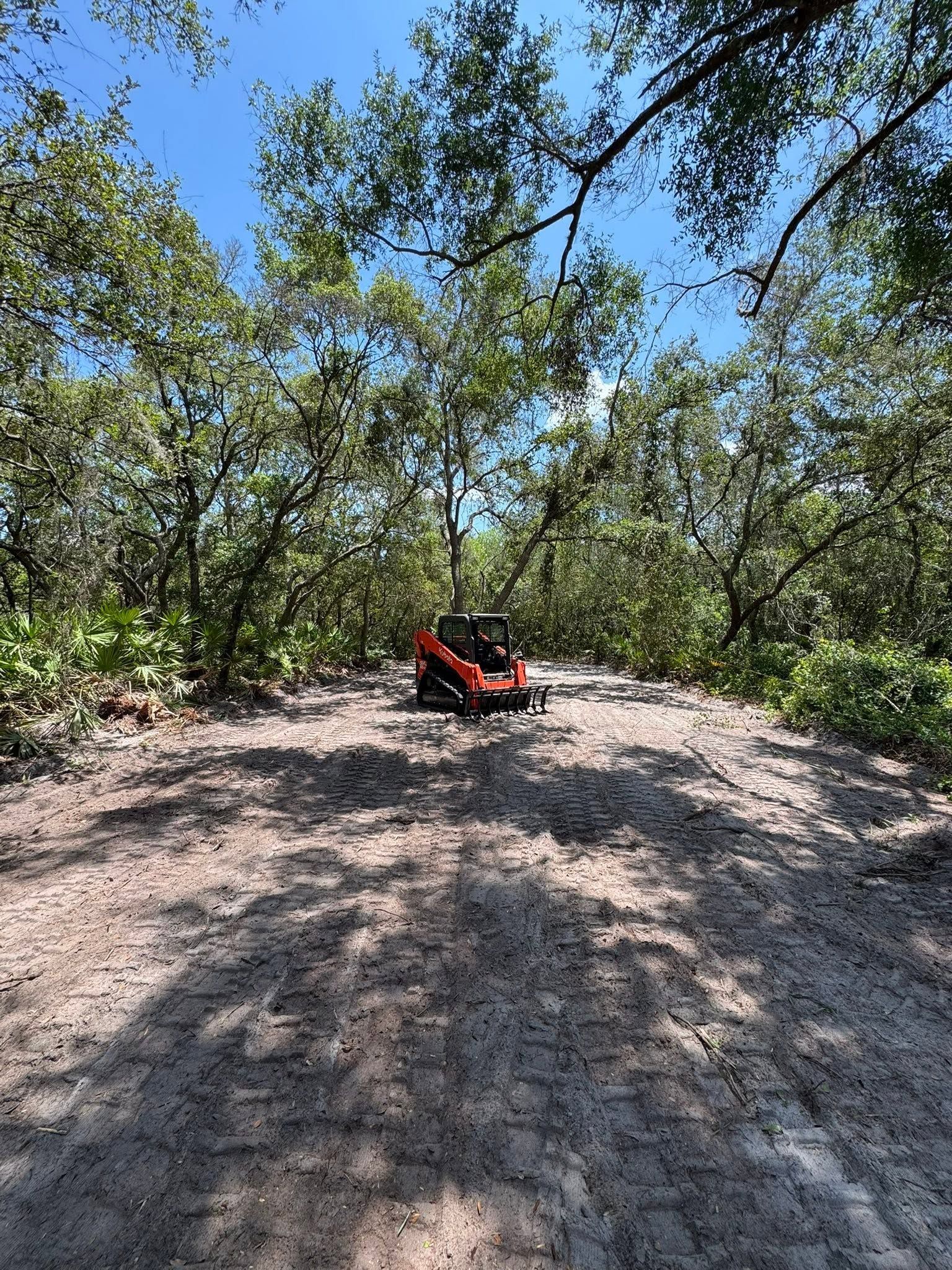 Small red ATV parked on a sandy trail surrounded by dense green trees under a bright blue sky