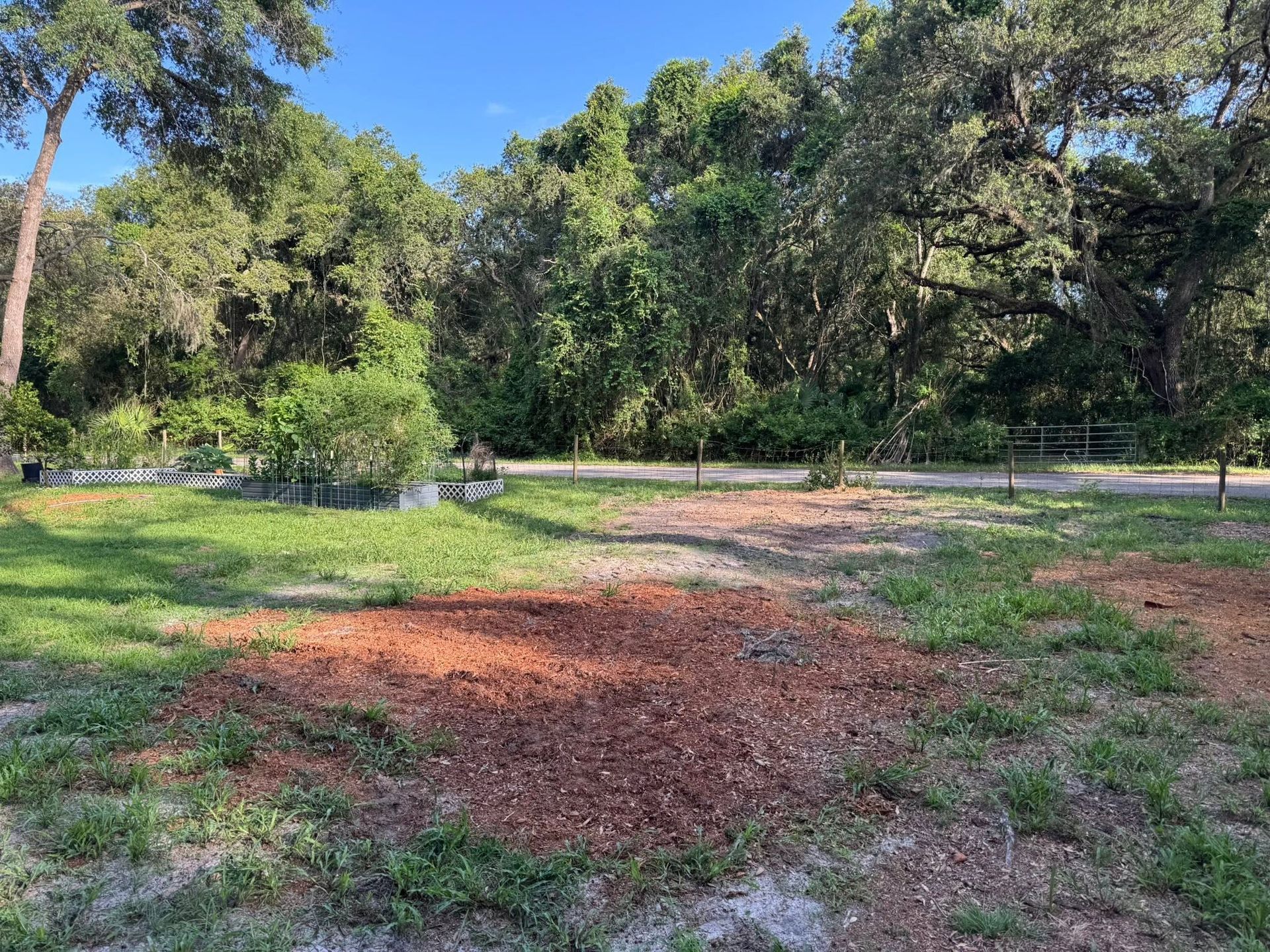 Sunny park clearing with reddish dirt patches, green grass, and trees in the background