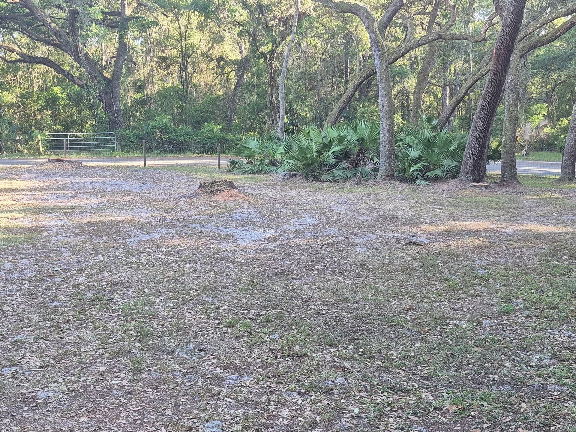 Leaf-covered clearing in a wooded park with a picnic table and benches in the background
