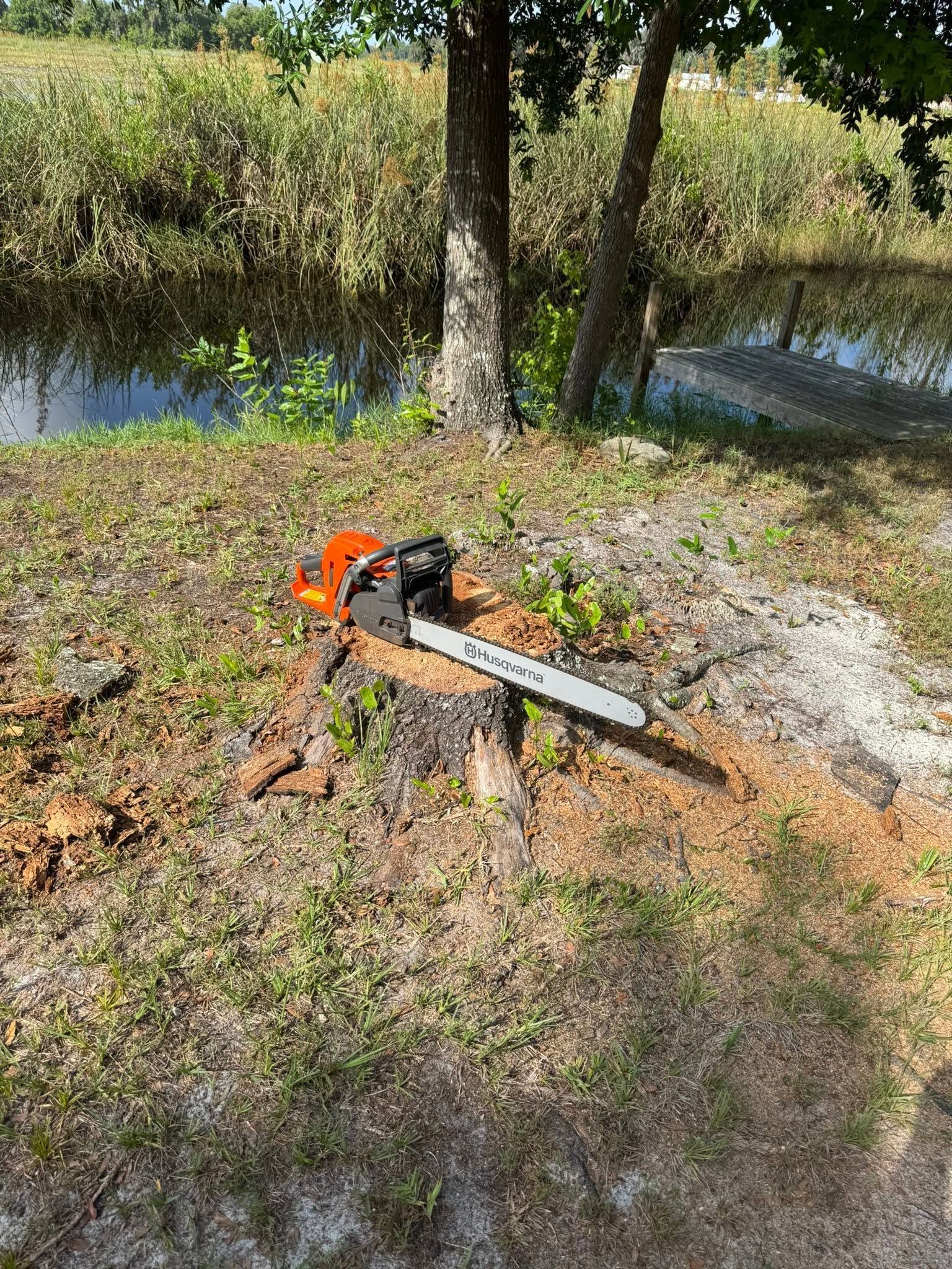 Orange chainsaw resting on a tree stump beside a wooded creek.