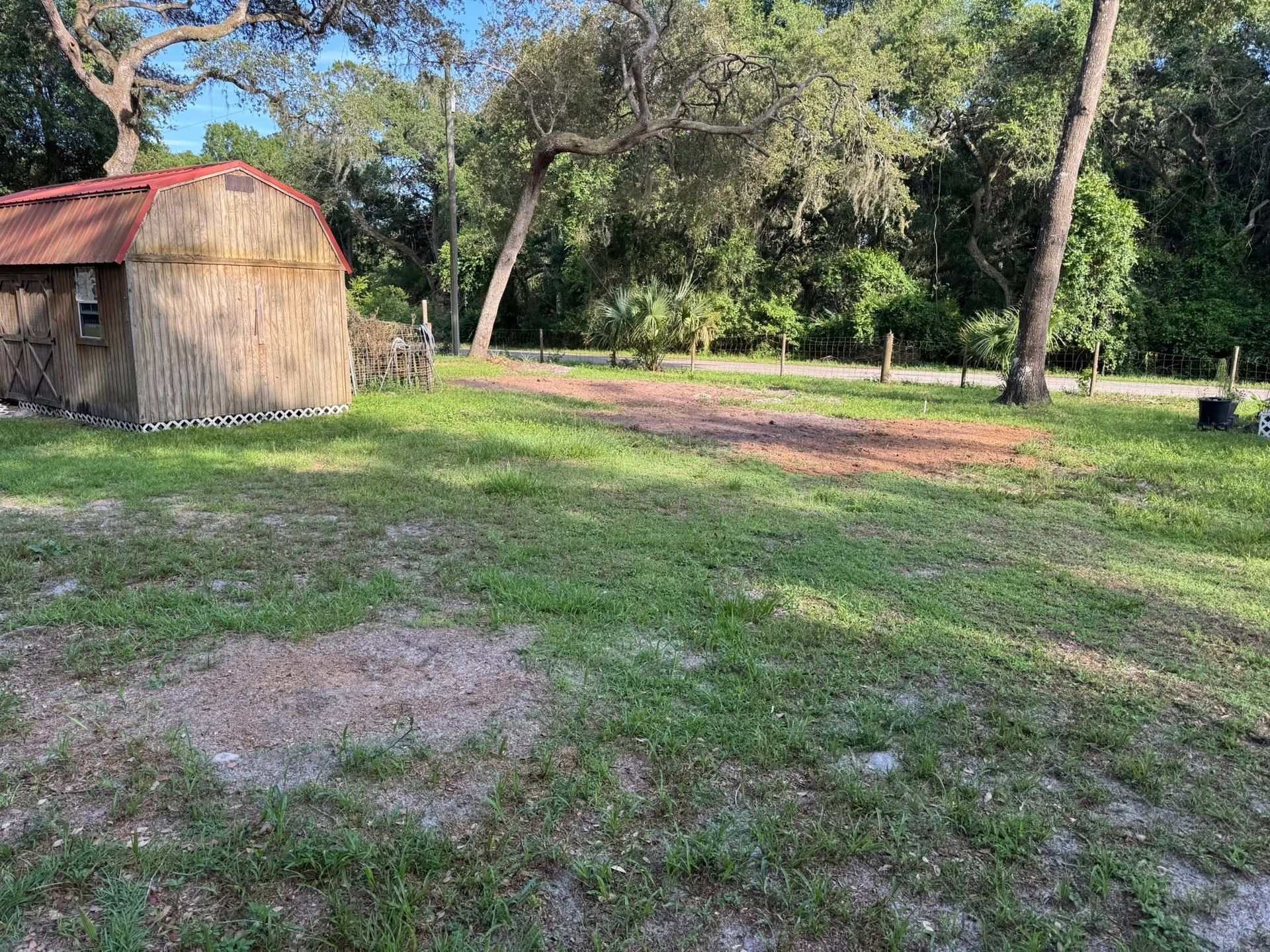 Grassy yard with a small shed on the left and trees in the background under bright sunlight