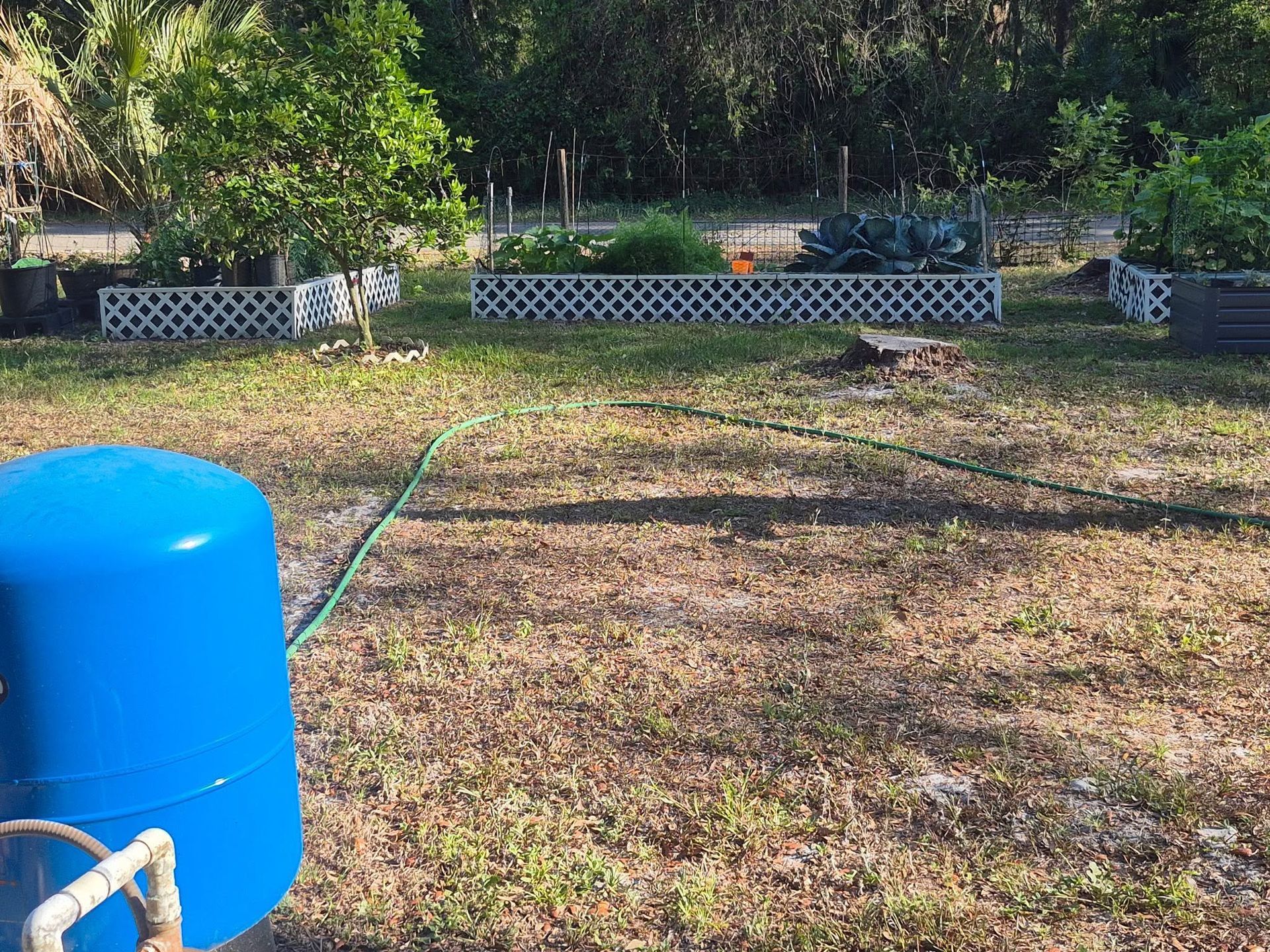 Blue water tank in a sunny yard with a hose, trees, and a white fence in the background