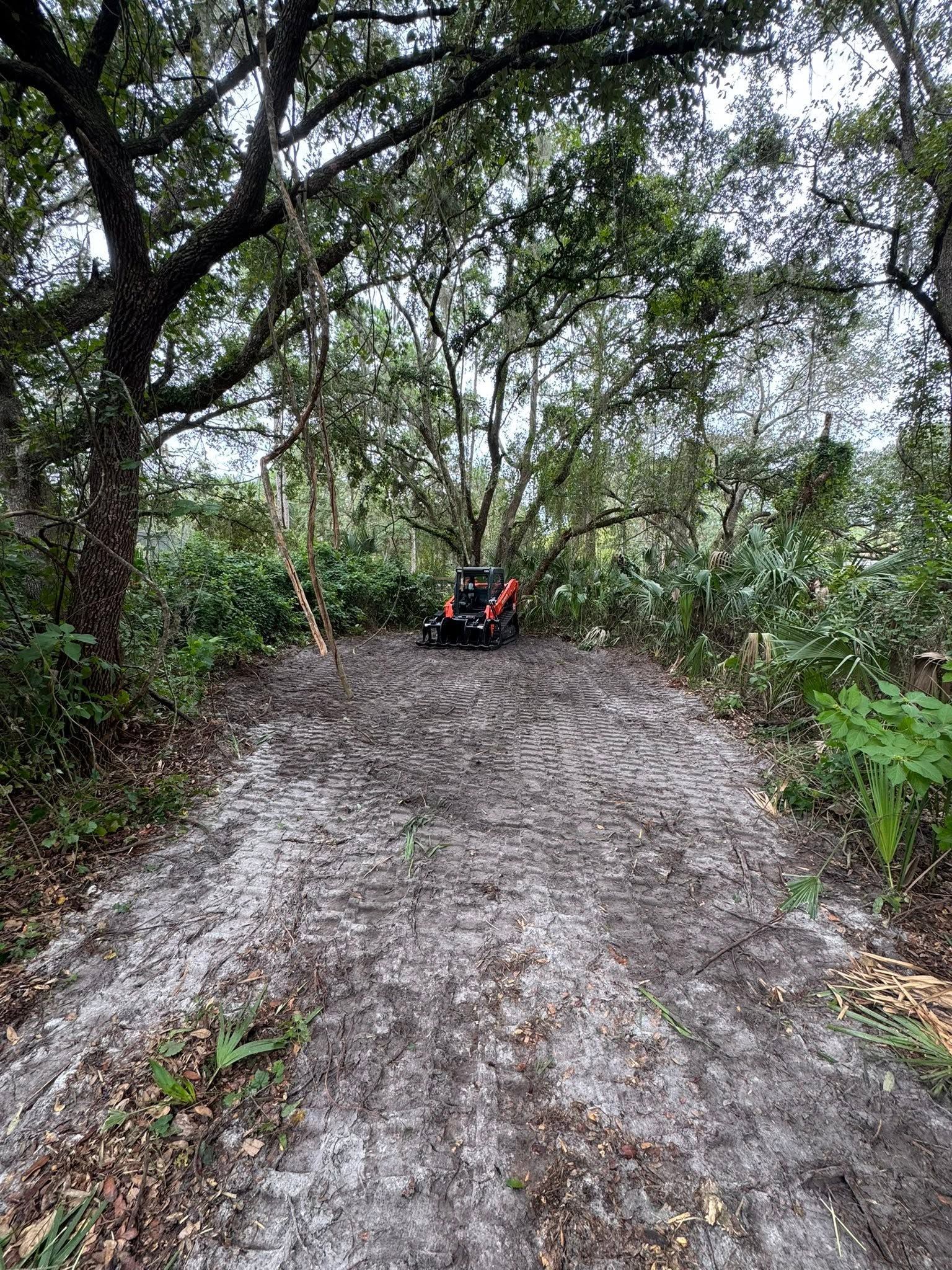 Off-road buggy on a muddy forest trail under dense tree canopy