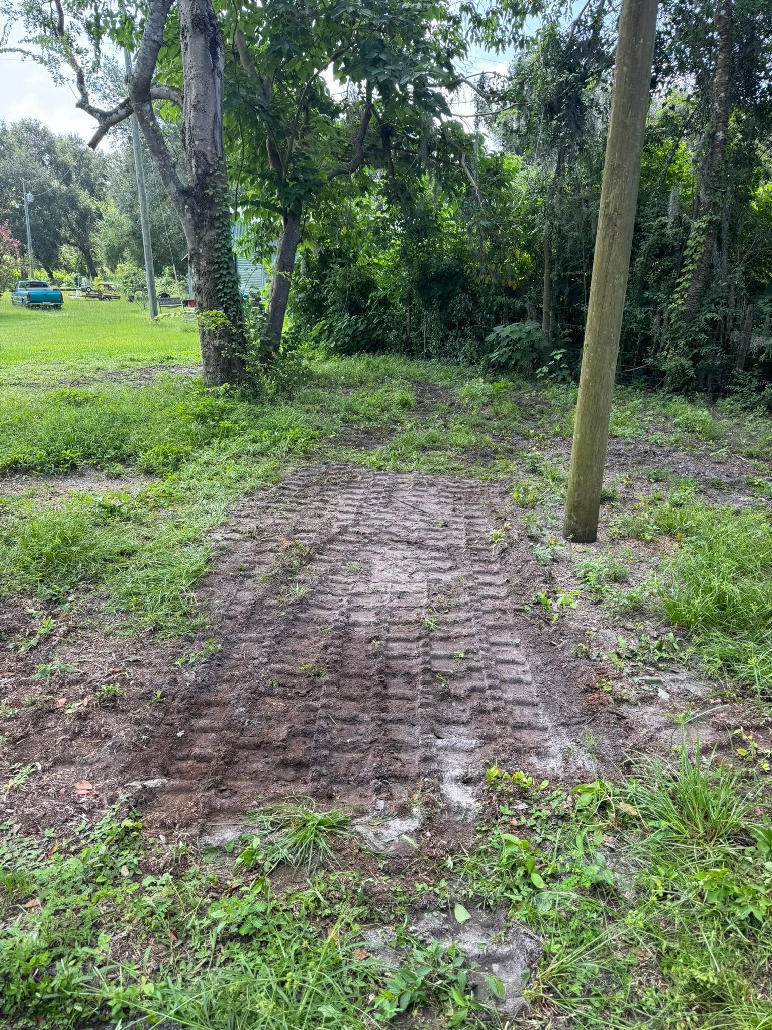 Narrow muddy brick path through a green wooded park with trees and dense shrubs.
