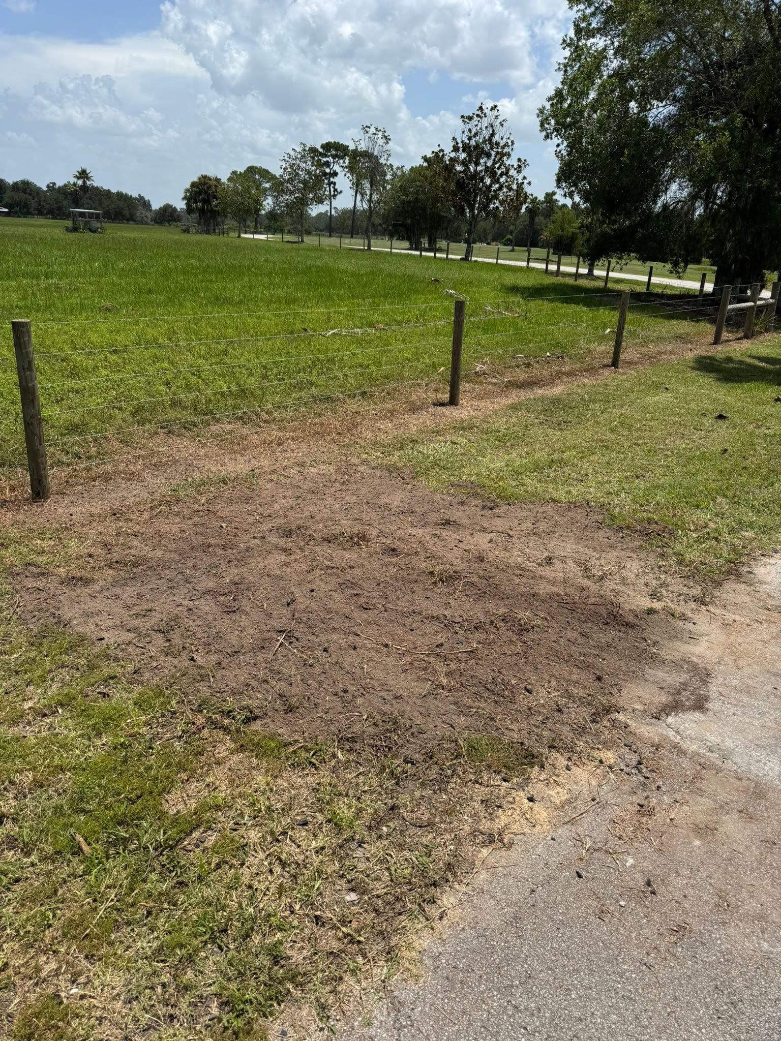 Grassy field with a dirt patch, fence posts, and trees under a partly cloudy sky