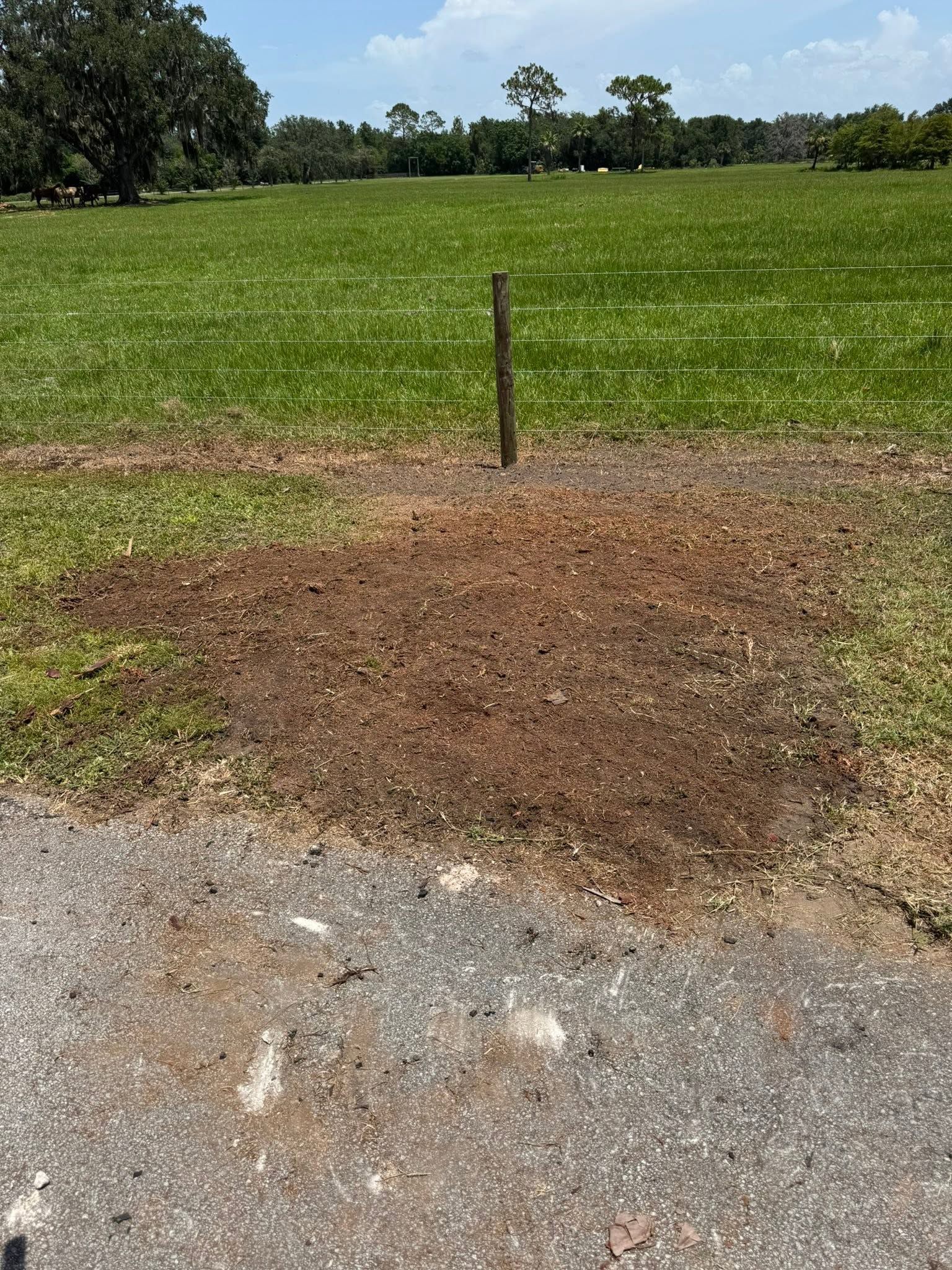 Gravel roadside beside a grassy field with a single fence post under a bright sky