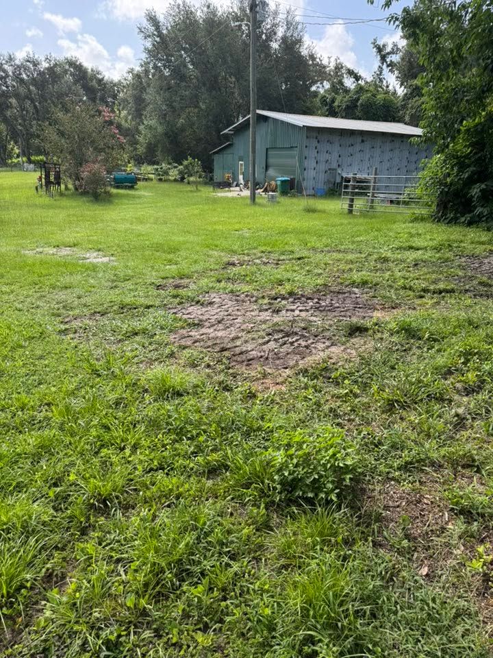 Grassy yard with bare patches, trees, and a small green shed under a cloudy sky