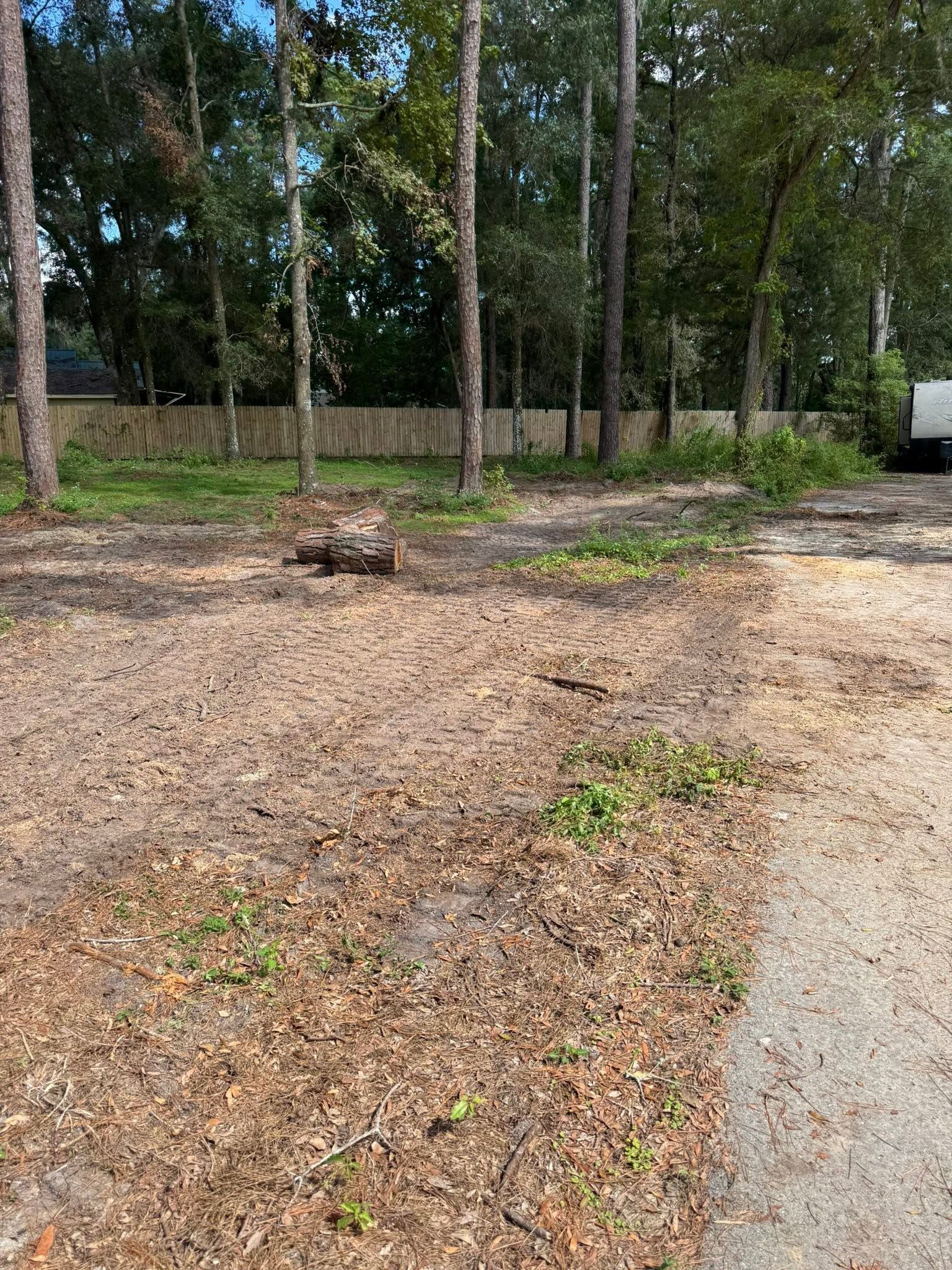 Gravel clearing beside a tree line, with a paved path on the right and blue sky above.