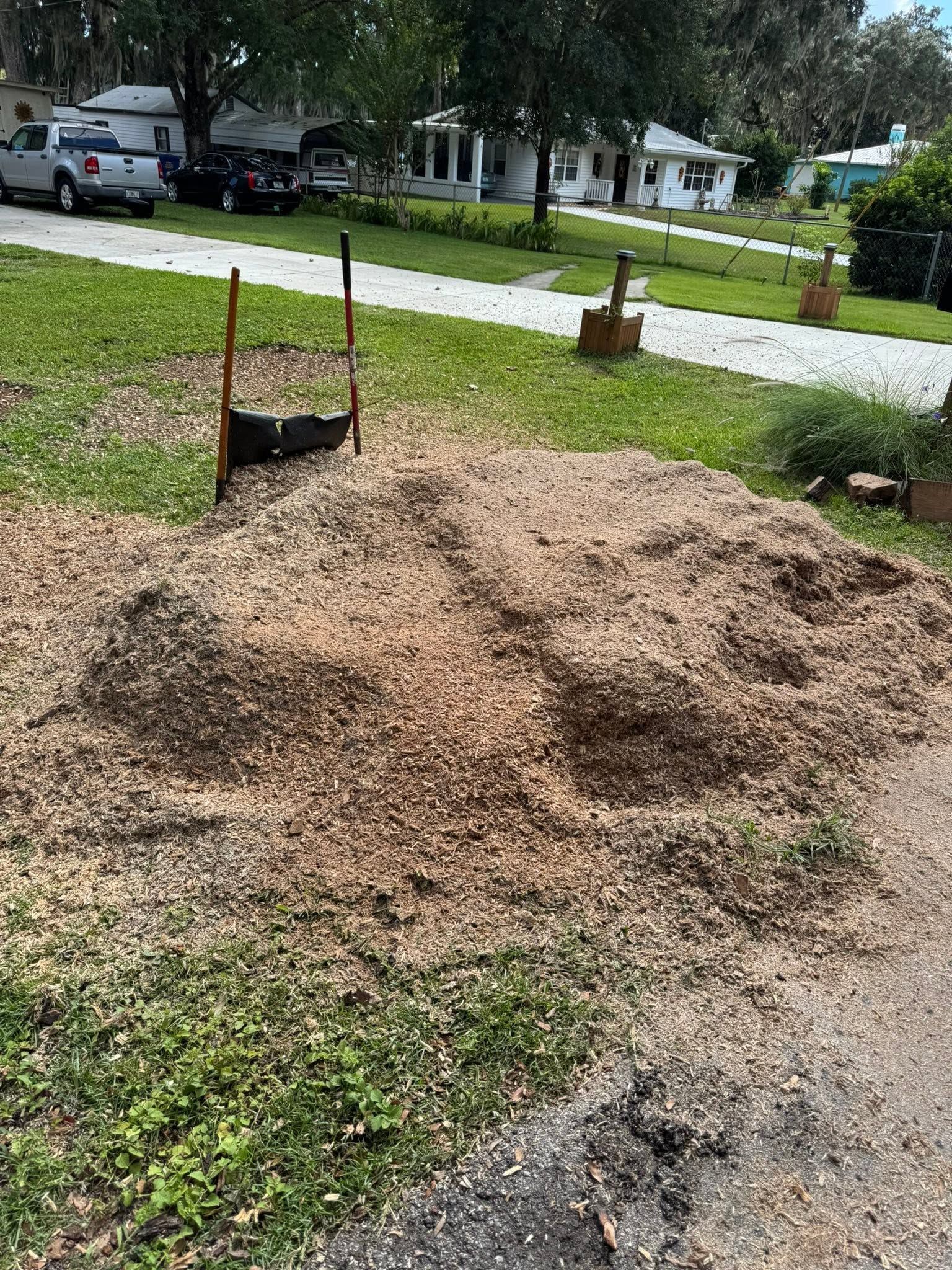 Pile of wood chips in a grassy yard with tree stumps and a residential street in the background