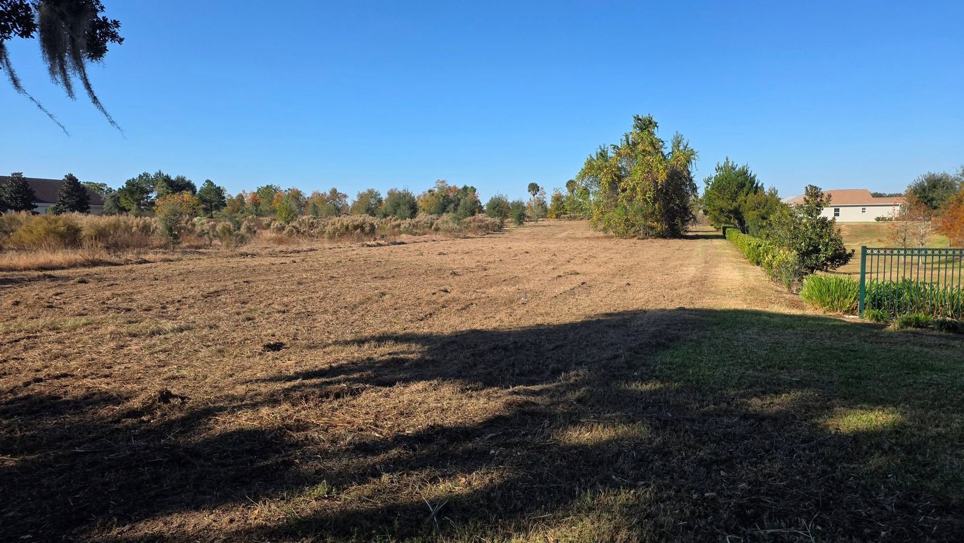 Open dirt field with trees under a clear blue sky and a shaded foreground