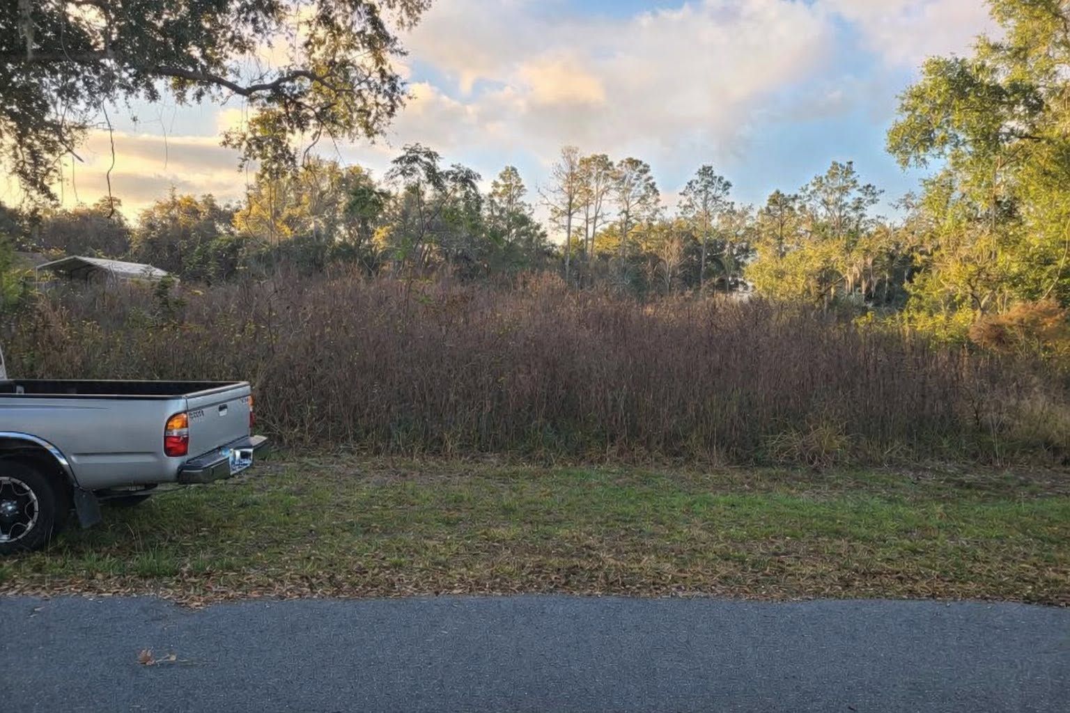 Pickup truck beside a roadside ditch with tall brush and trees at sunset