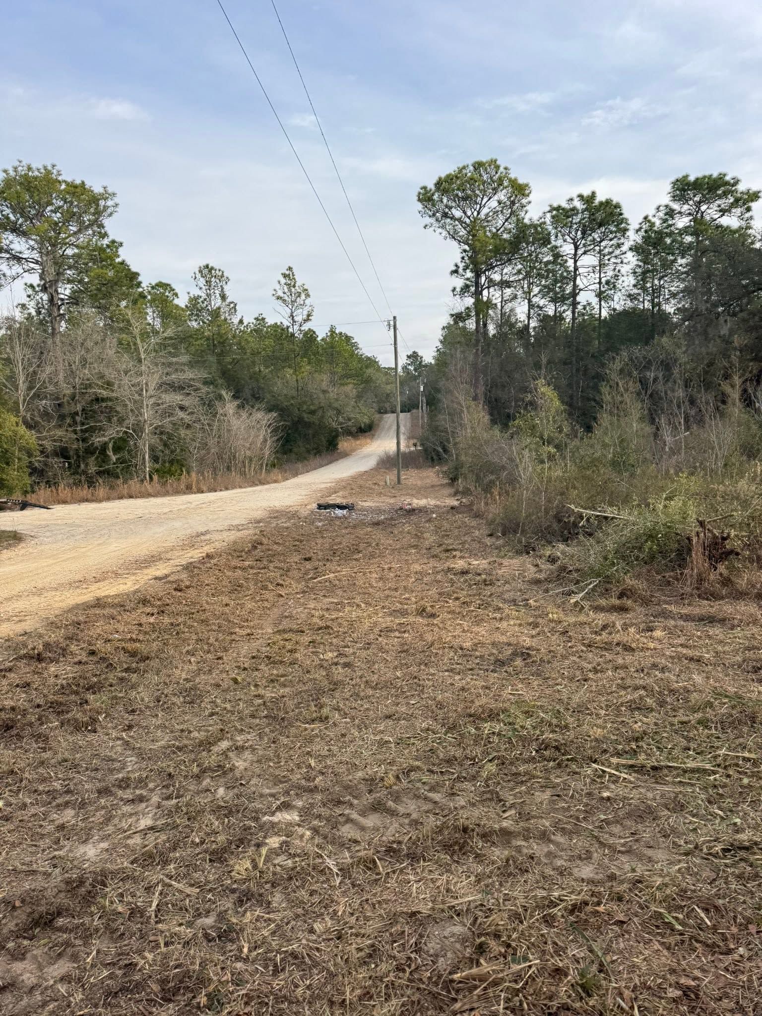 Dirt road through a wooded area under a cloudy sky, with power lines overhead.