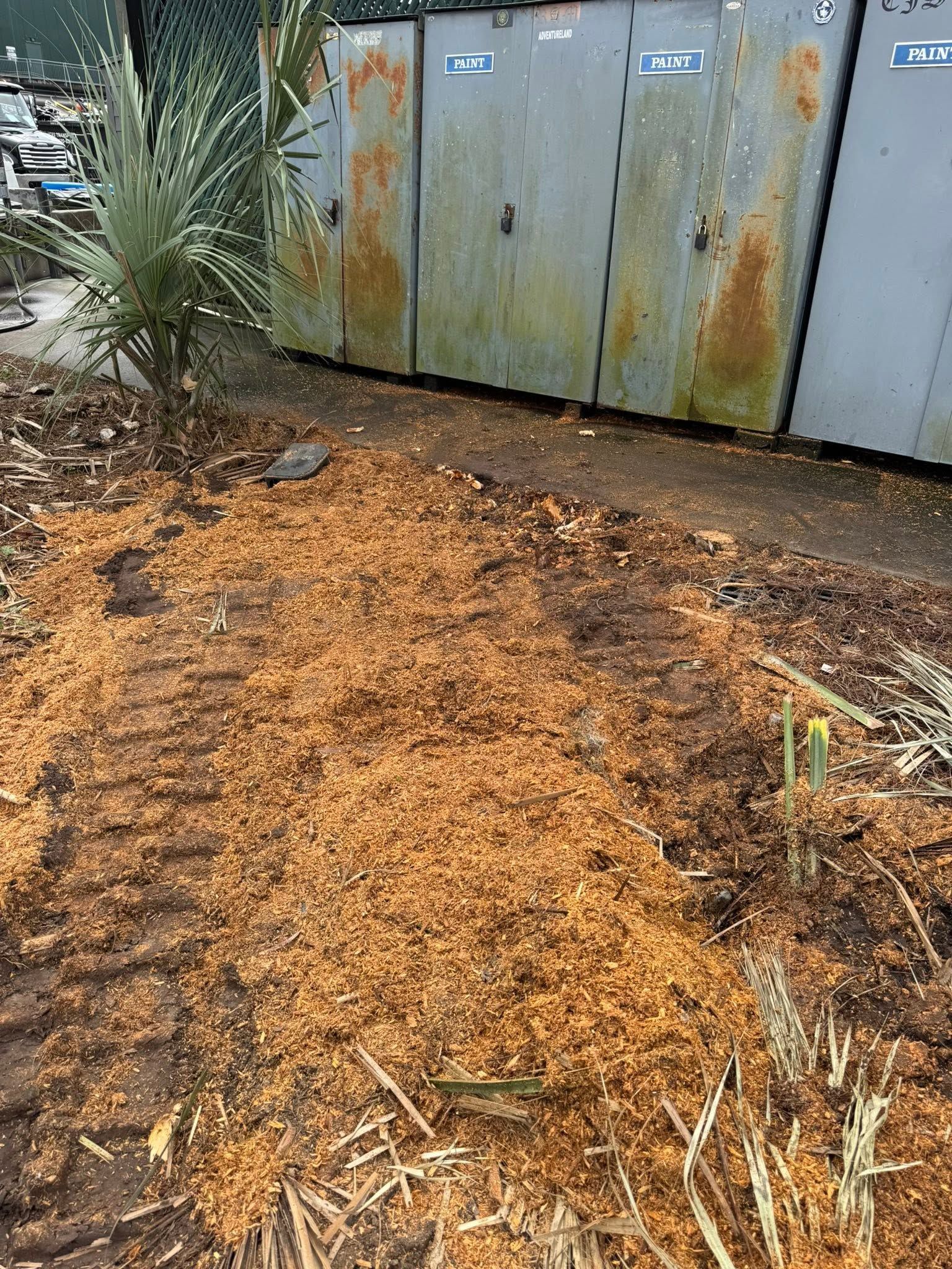 Pile of orange wood chips or mulch on soil beside rusty metal utility cabinets and plants