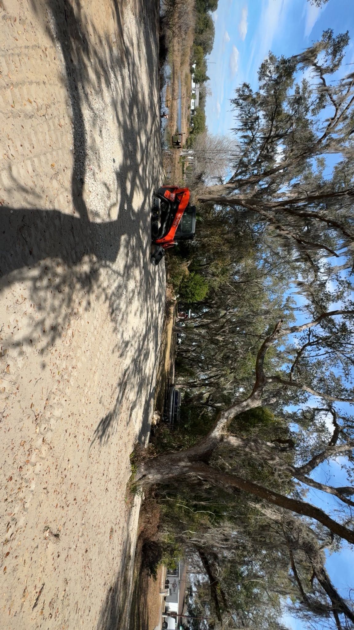 Red SUV on a sandy dirt road beside trees under a blue sky