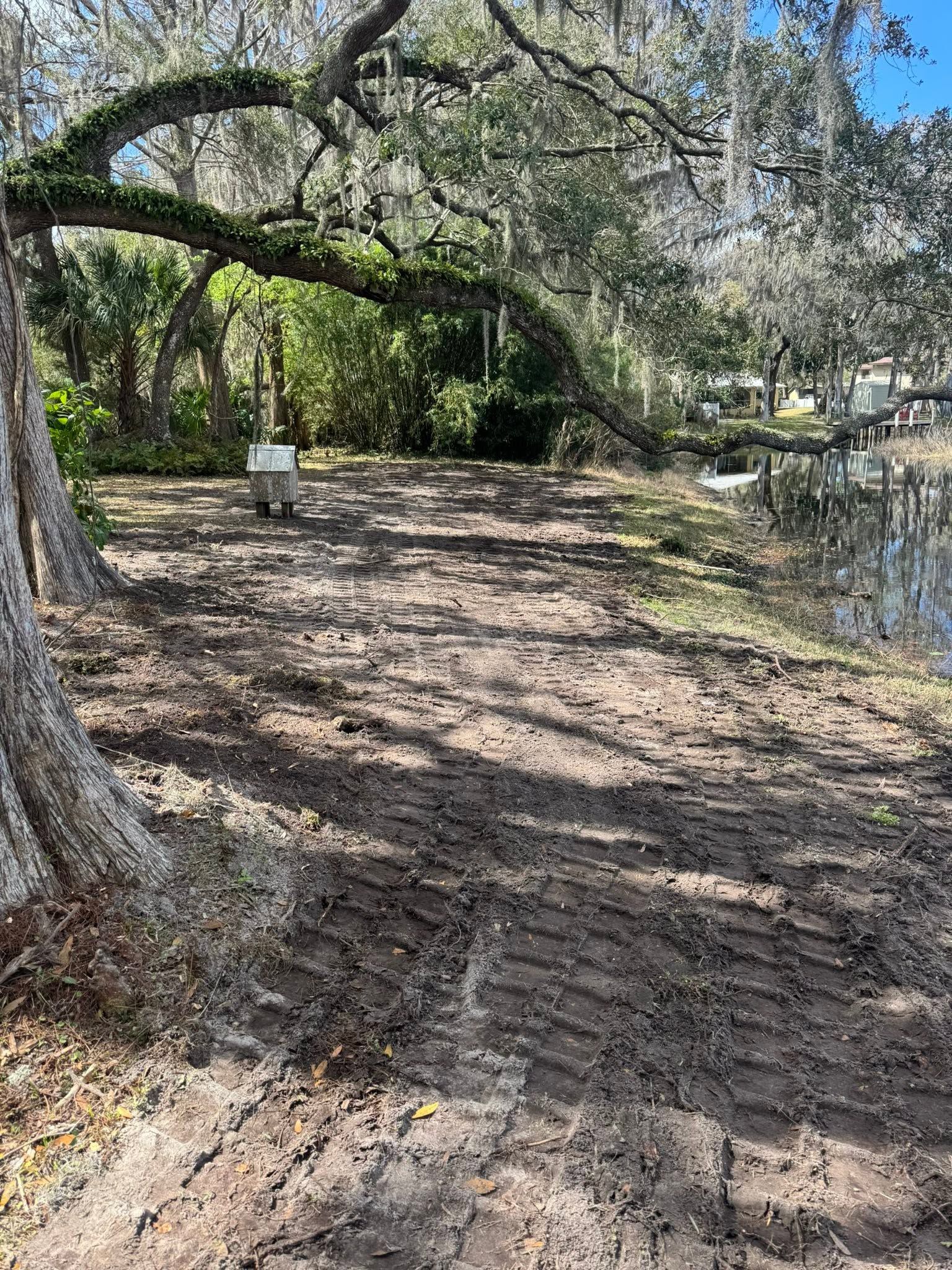 Shaded dirt path beside a pond, lined with trees and dappled sunlight