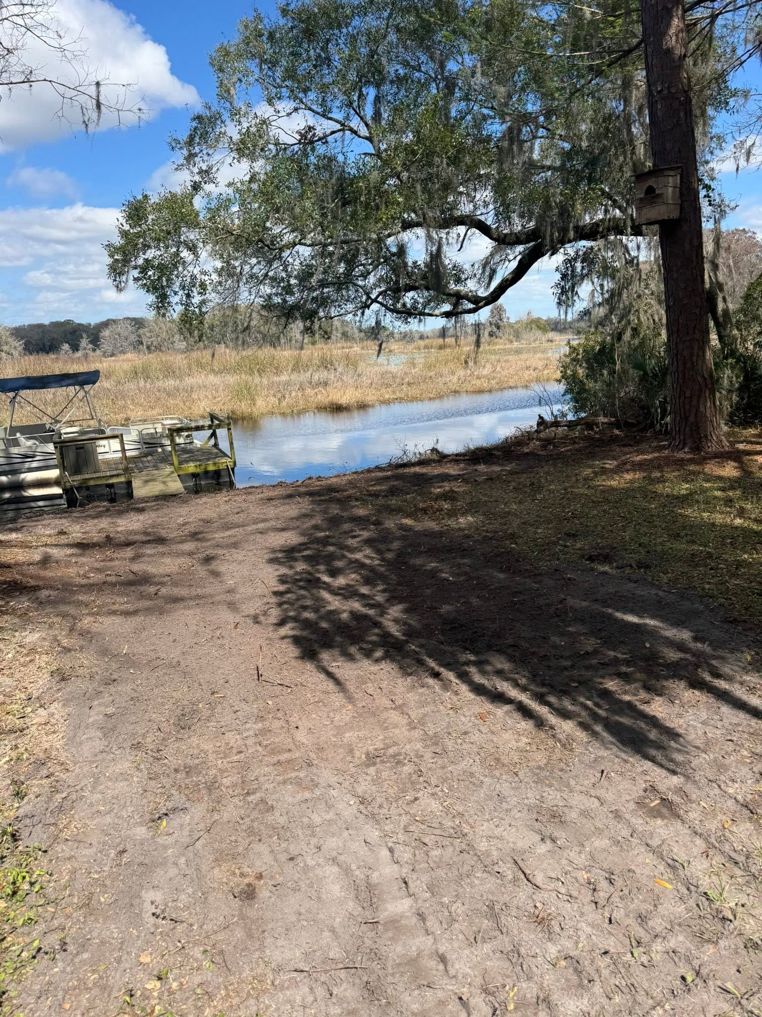 Dirt path beside a calm river, with a large tree casting shade and tall grasses under a partly cloudy sky