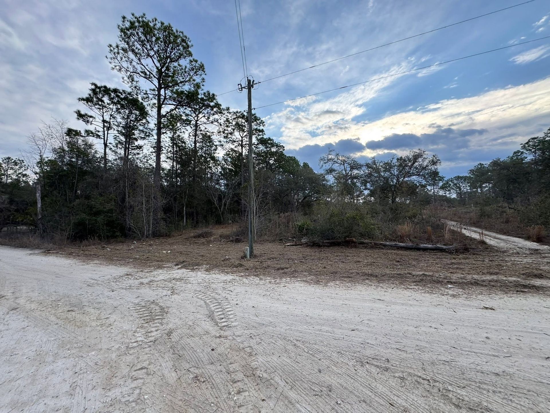 Dirt road beside sparse trees and brush under a cloudy evening sky