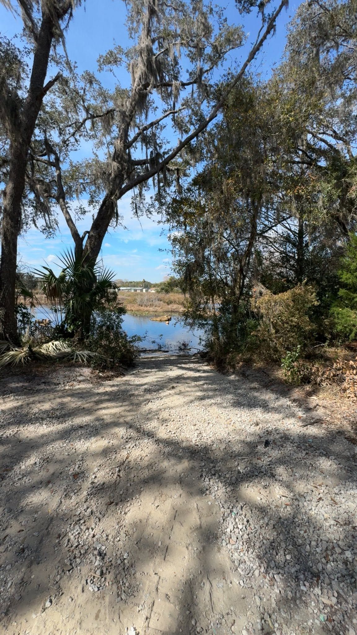 Shaded dirt path leading through trees to a small lake on a sunny day