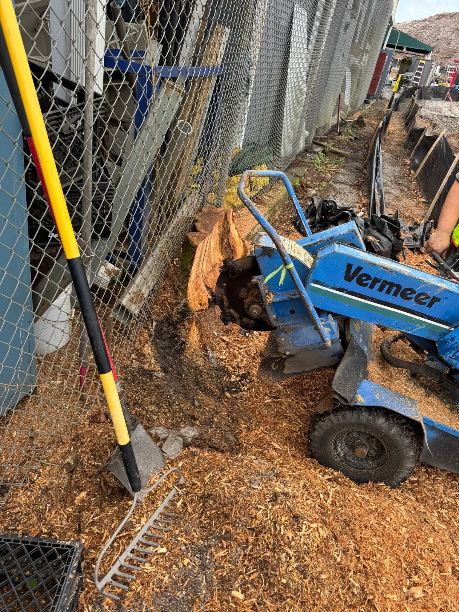 Blue mini excavator digging beside a chain-link fence on a gravel path by a building