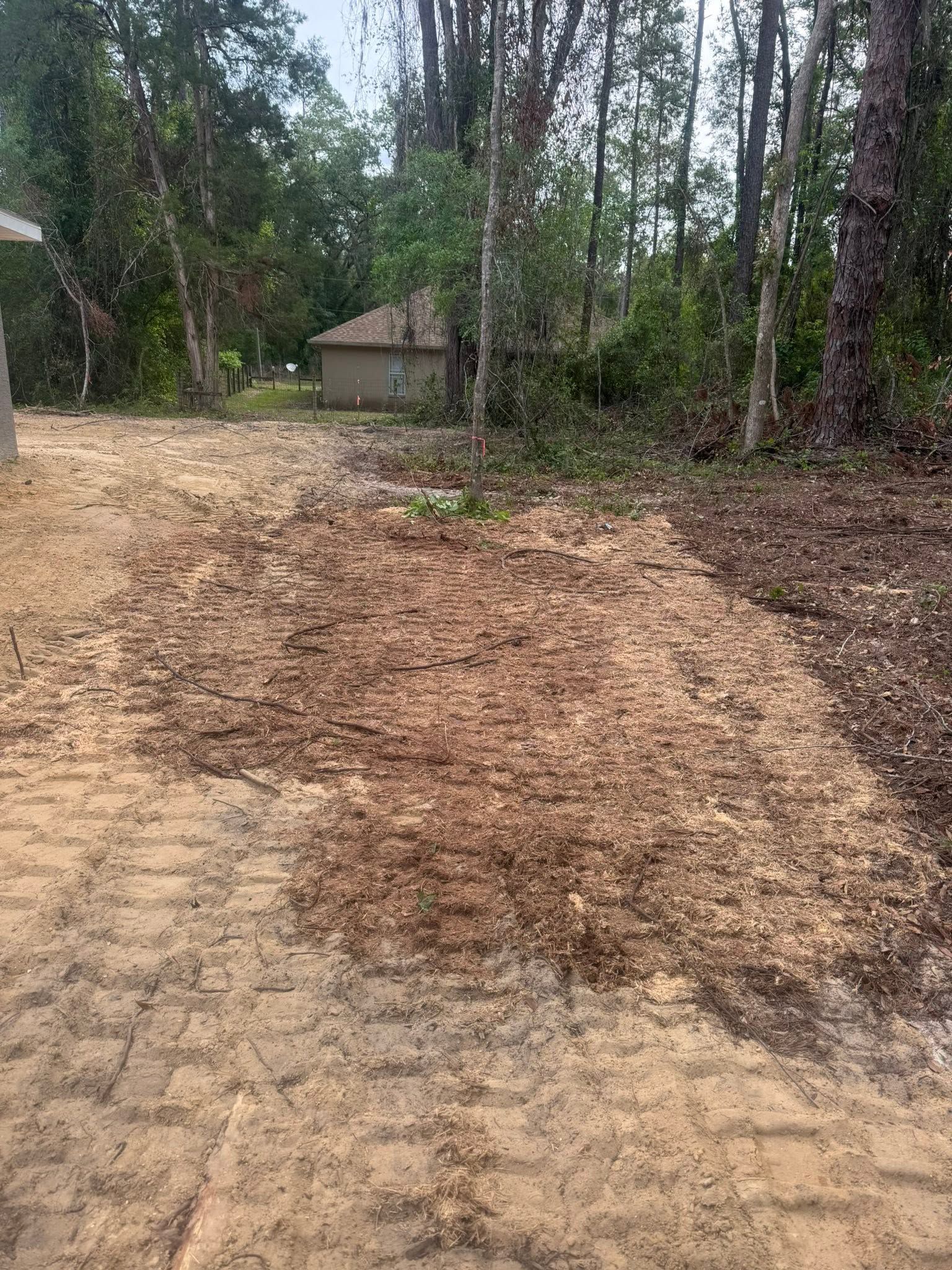 Dirt path through a wooded area leading to a small cabin in the distance