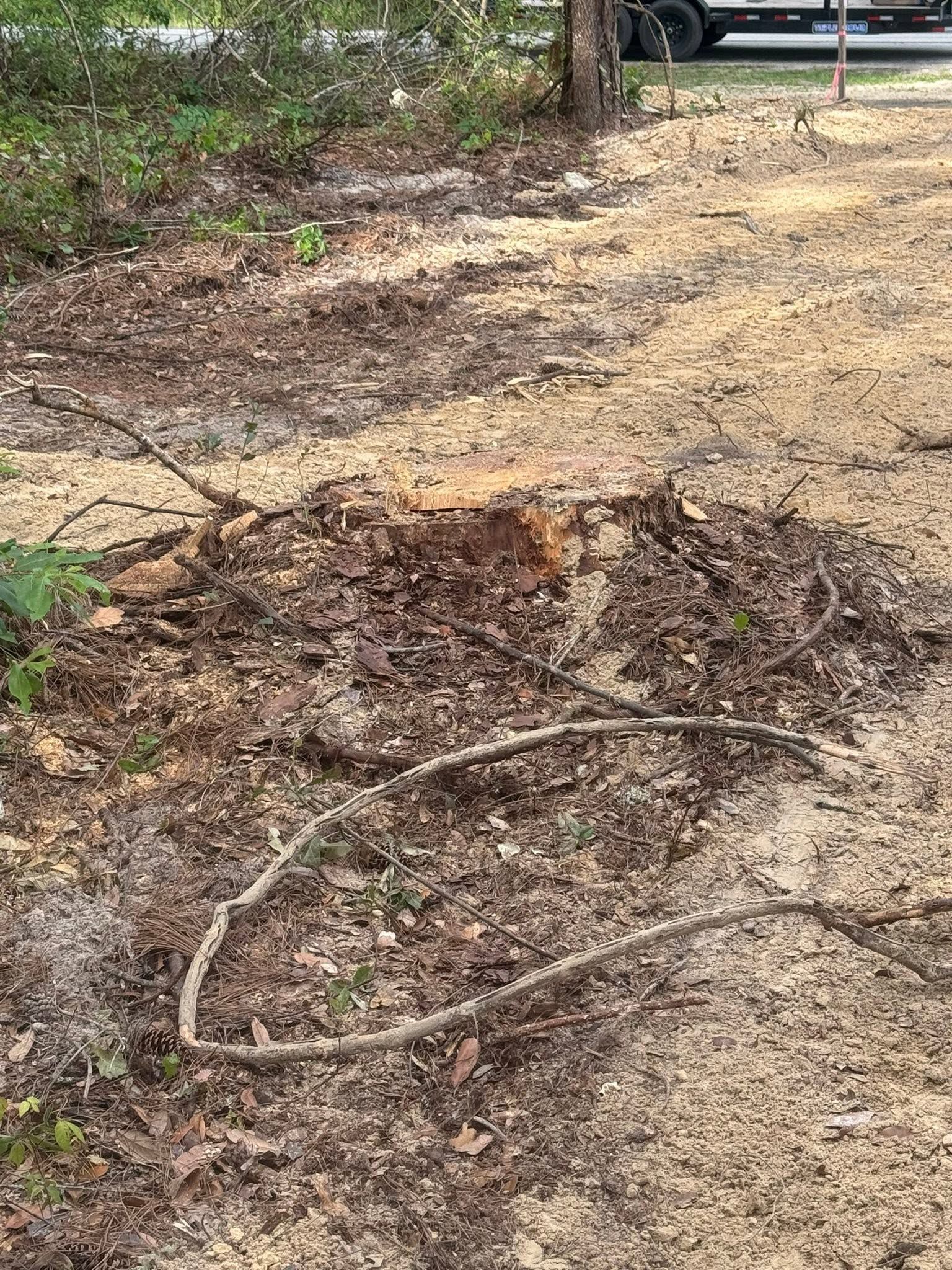 Bare dirt patch with exposed roots and leaves in a yard, with a parked car in the background