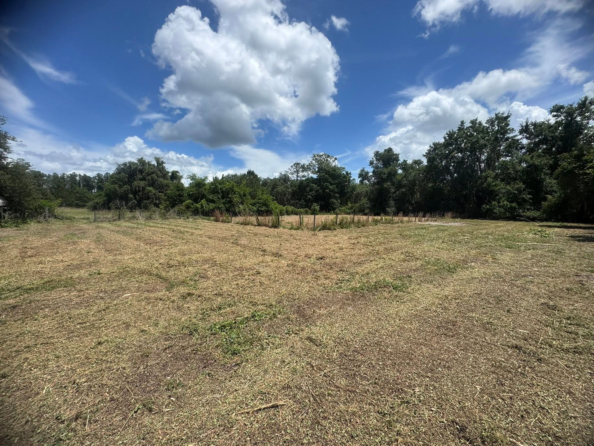 Open grassy field under a blue sky with large white clouds and trees in the distance