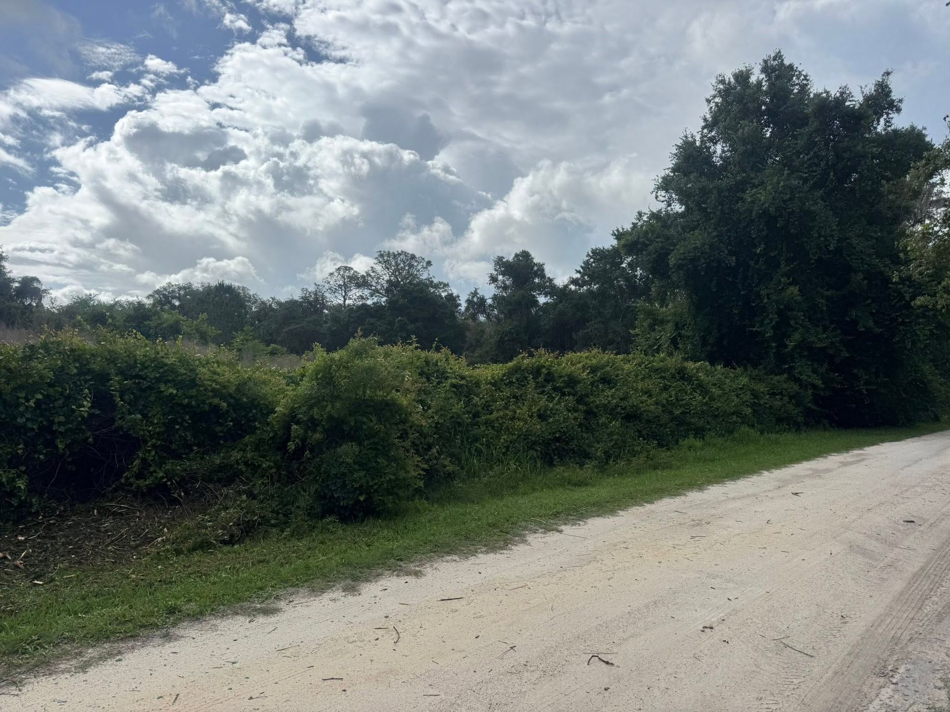 Gravel road beside green bushes and tall trees under a cloudy sky