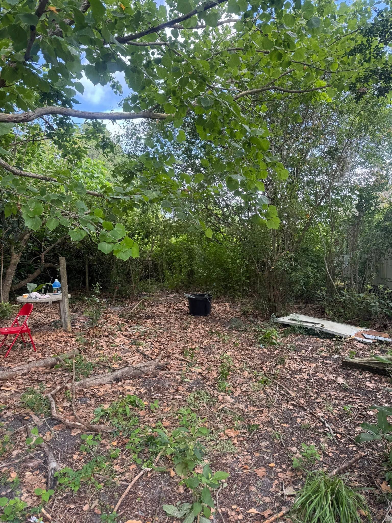 Wooded backyard with leaf-covered ground, overhanging trees, and scattered garden items
