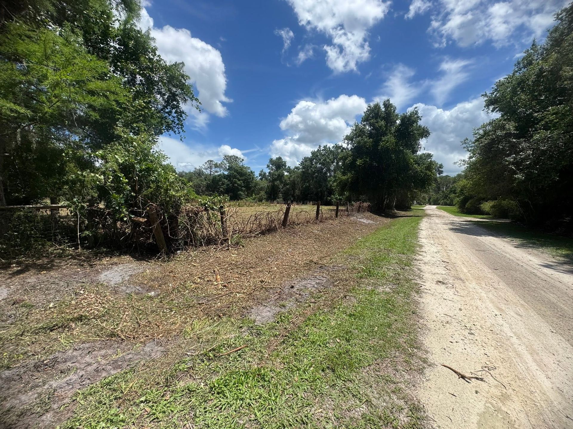 Dirt road beside a fence and trees under a bright blue sky with clouds