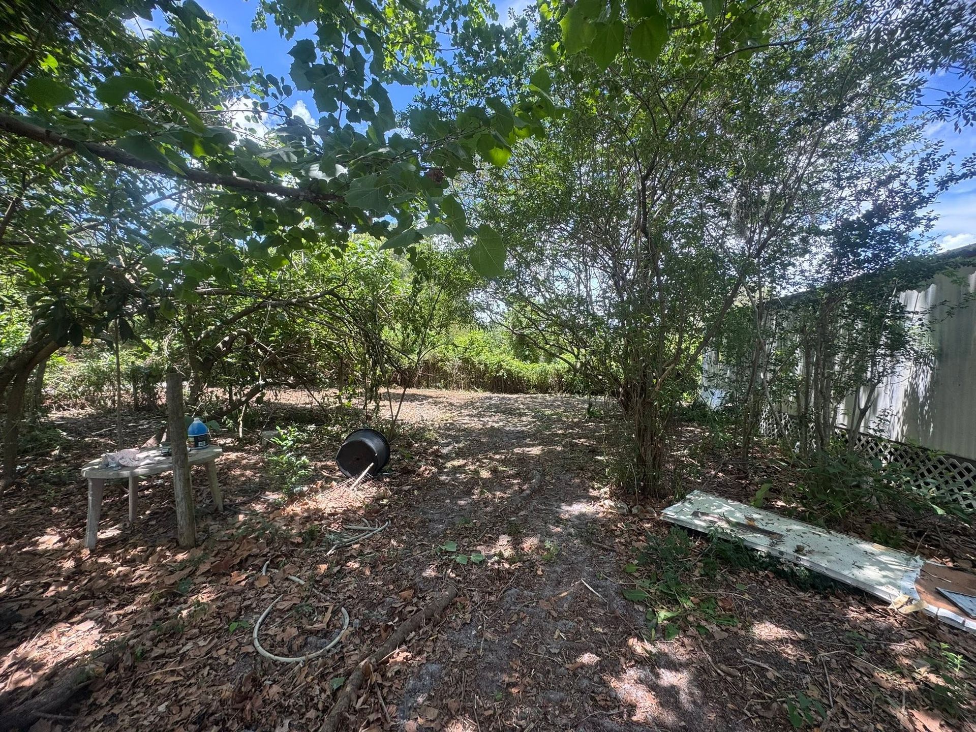 Shaded backyard with trees, leaf-covered ground, a table, and scattered outdoor items near a white fence.