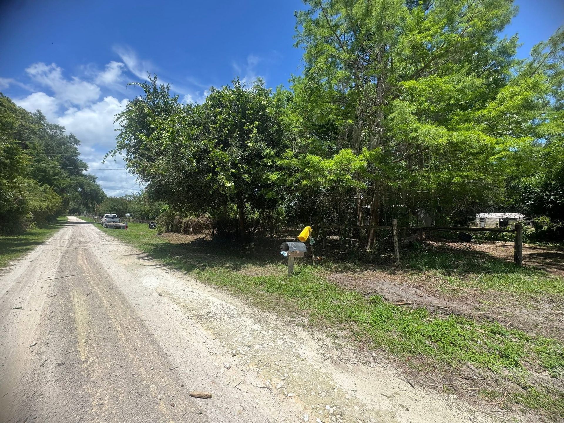 Gravel road beside trees and a wooden fence under a bright blue sky