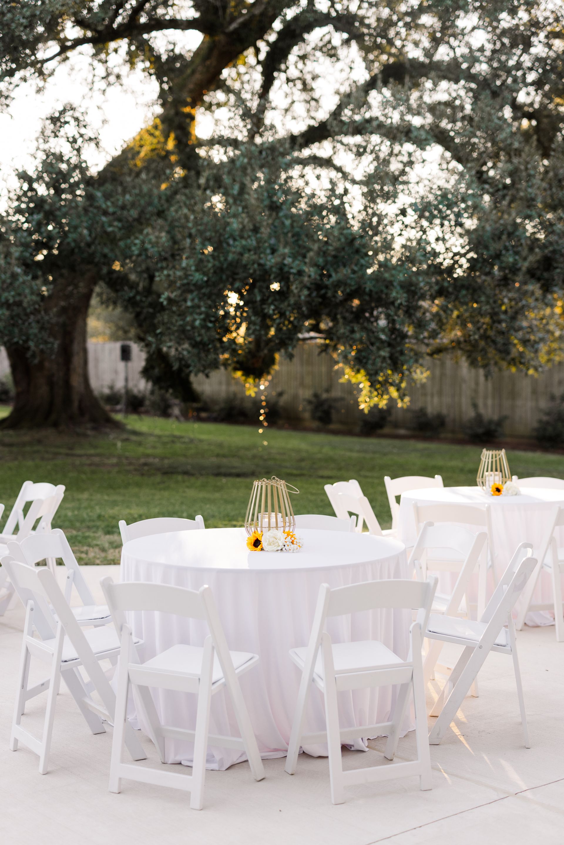 White tables and chairs set up on a patio in a yard, under a large tree with golden sunlight.