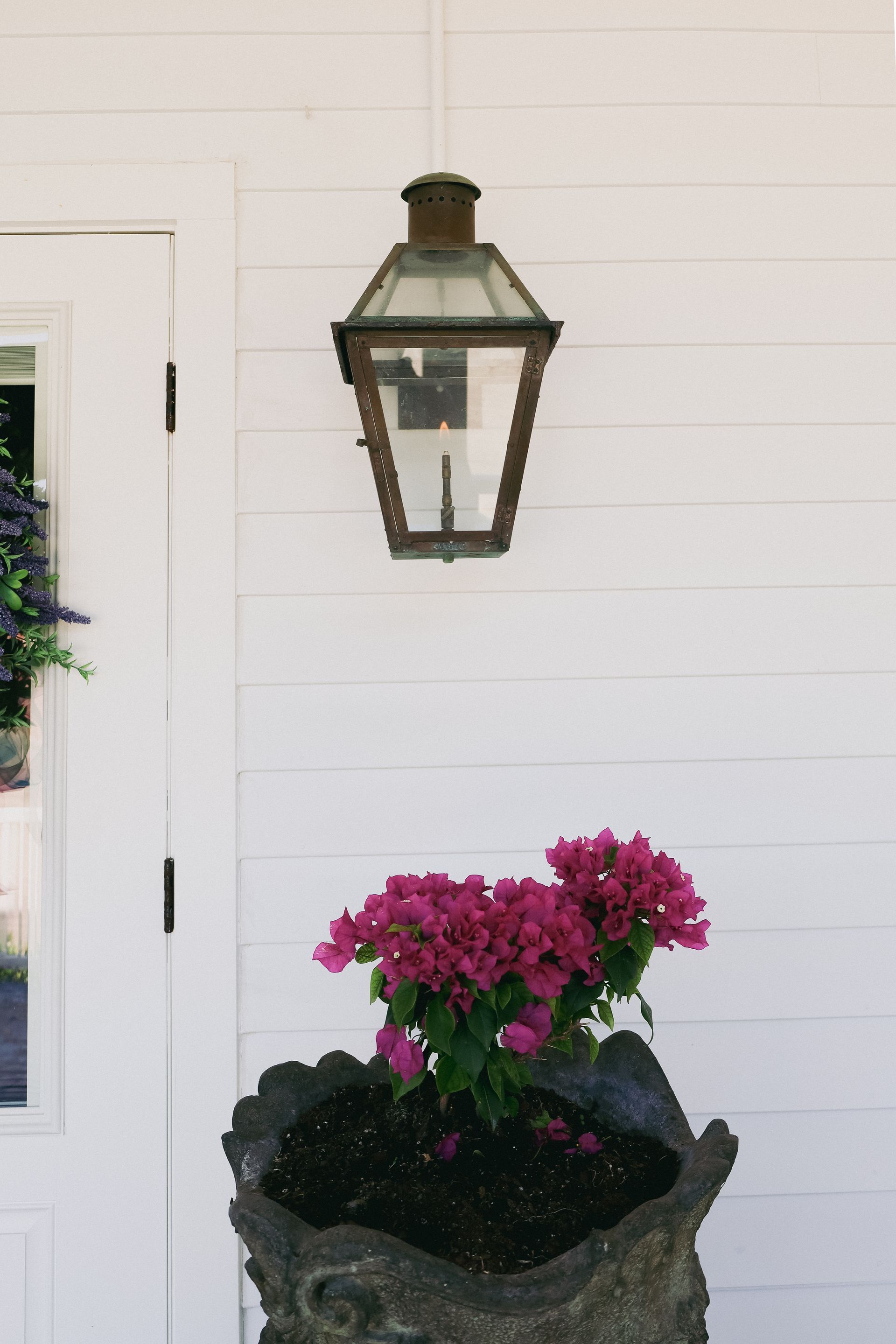 Bougainvillea flowers in a textured pot under a vintage lantern on a white-paneled wall.