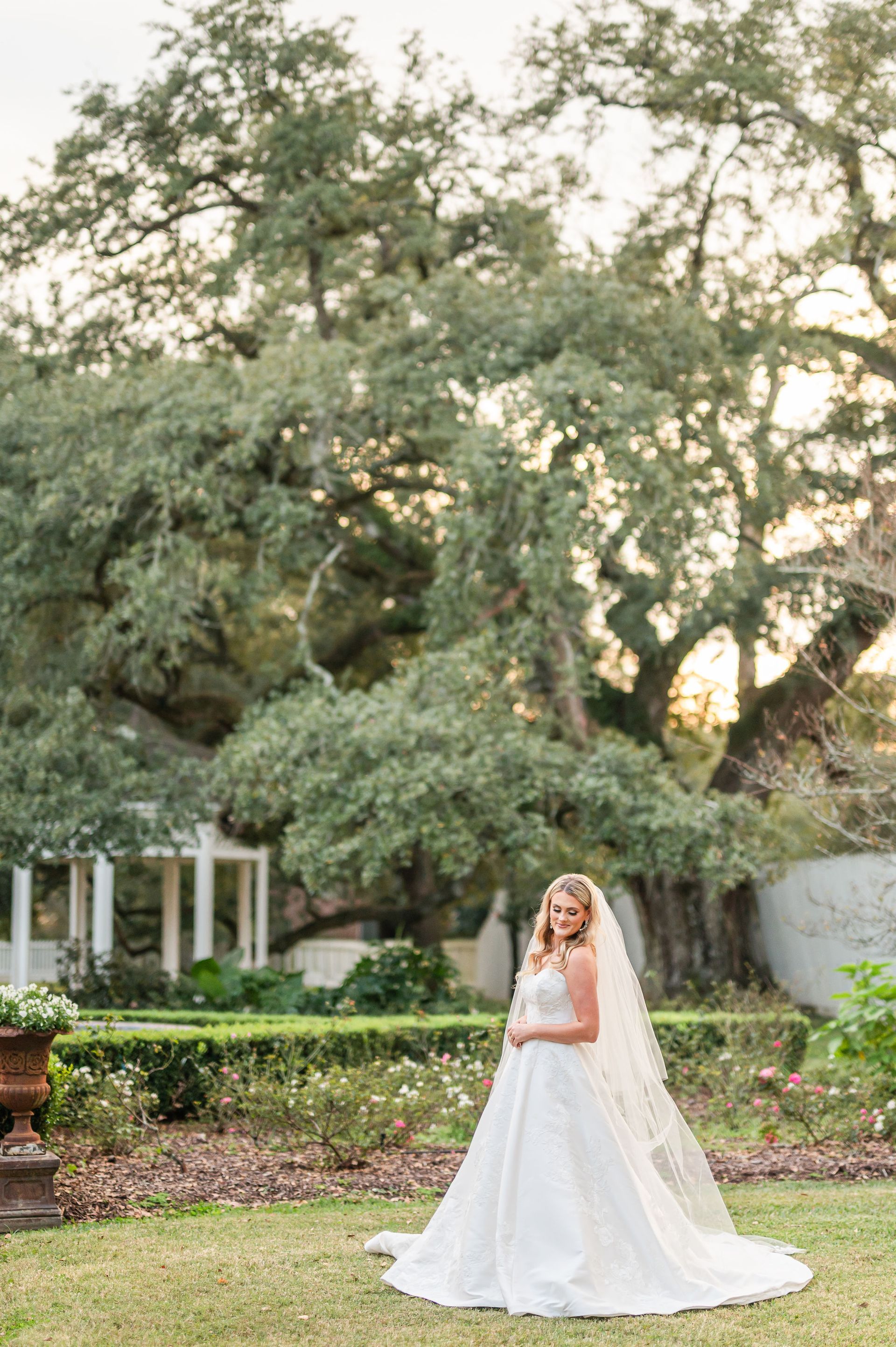 Bride in white gown with veil stands in a garden with large tree and white structure.