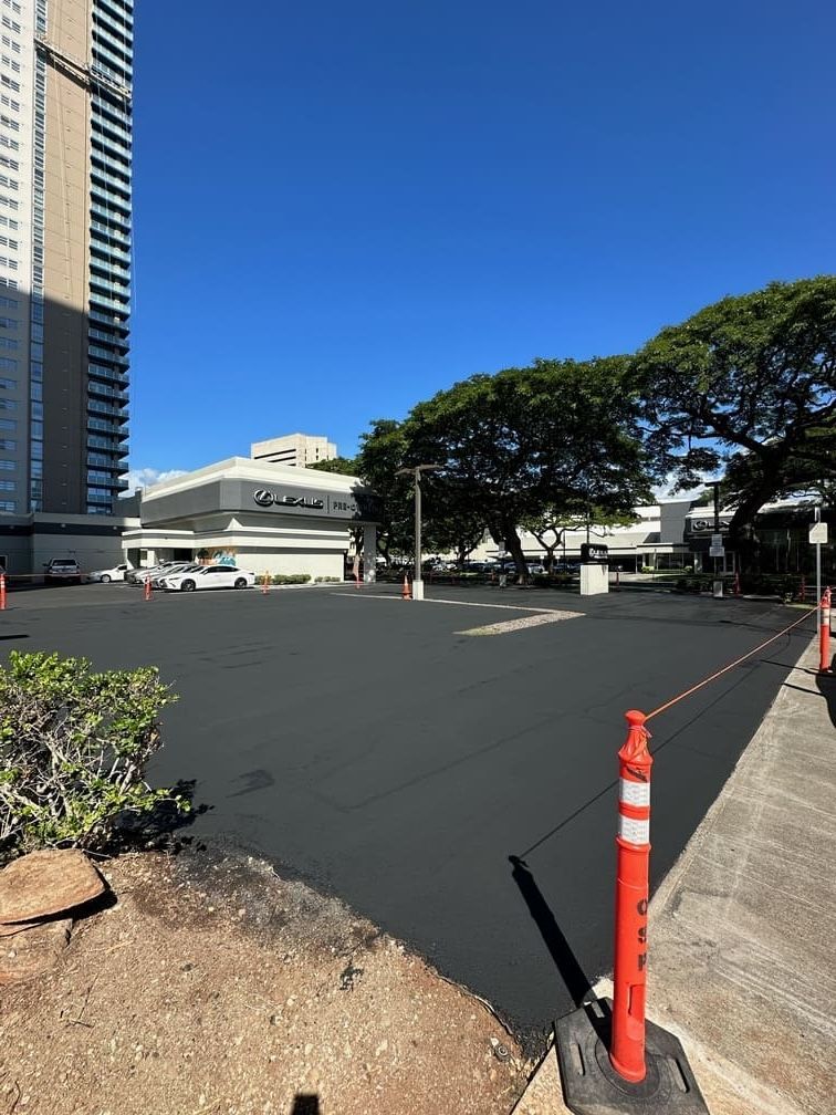 Newly paved parking lot with a tall building and trees under a clear blue sky.