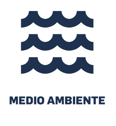 experto en logistica mexico