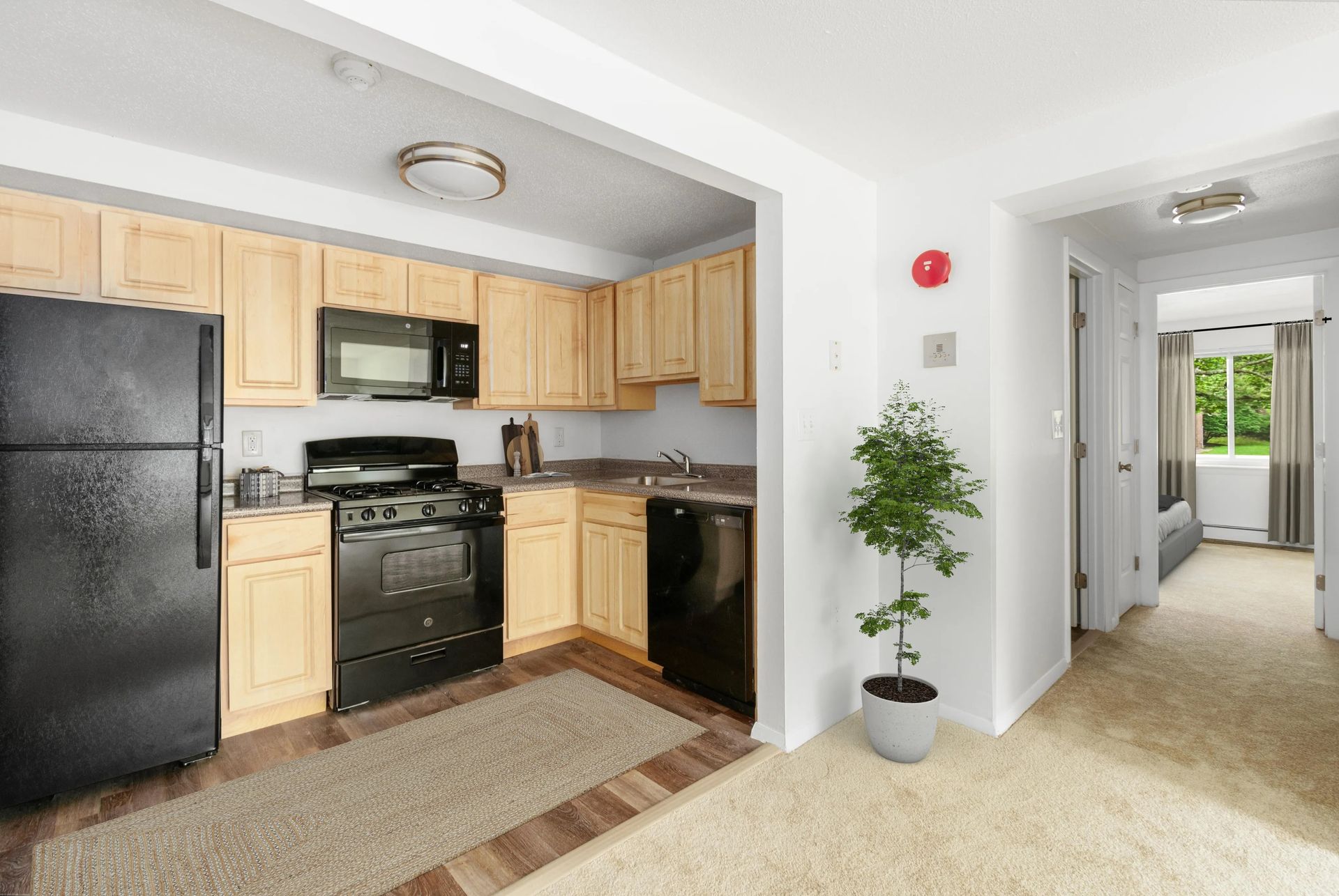APARTAMENTOS