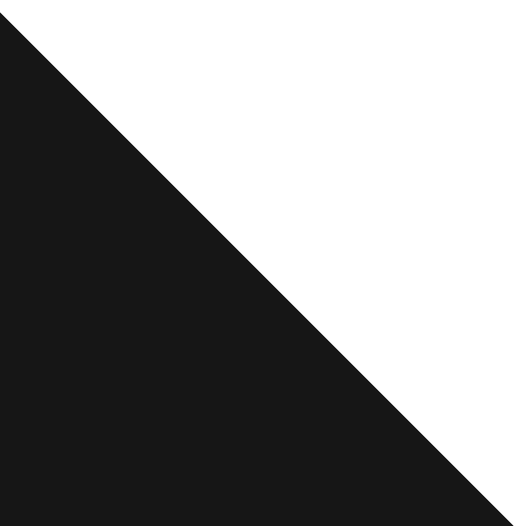 Black Triangle Icon
