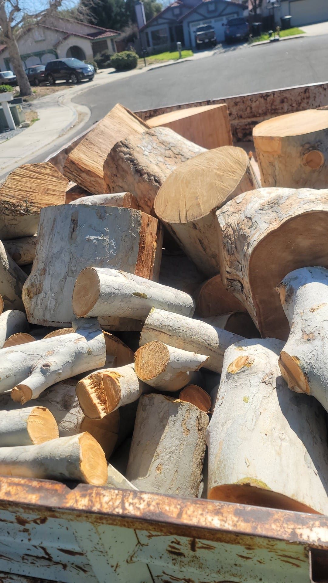 Stump Grinding — Nuevo, CA — Ken’s Tree Service