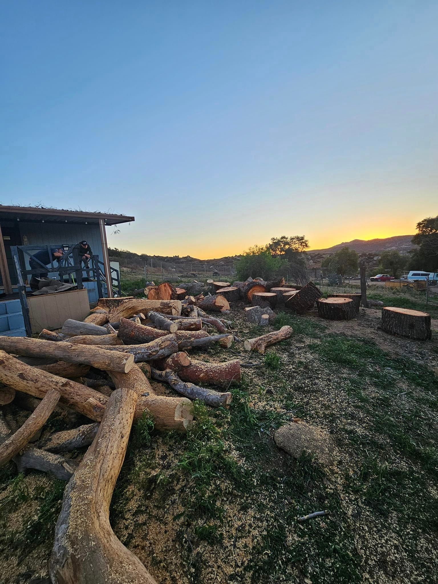 Tree Services — Nuevo, CA — Ken’s Tree Service